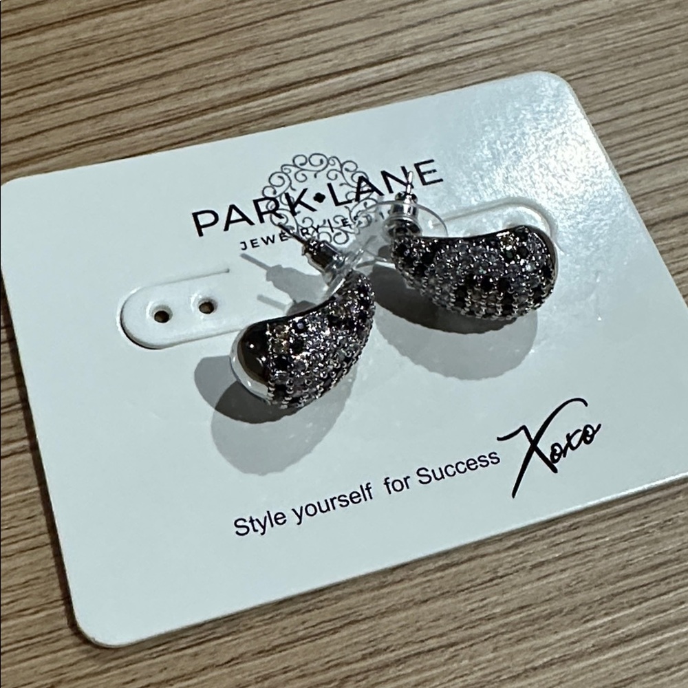 Park Lane LEO March 2026 Animal Print Earrings - Picture 2 of 6